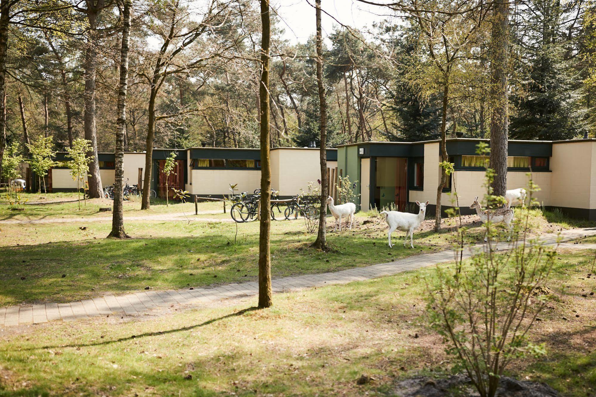 Center Parcs Meerdal Limburg-Brabant America Dış mekan fotoğraf